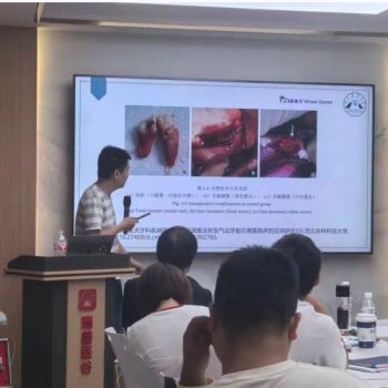 Premium Pet Dental Equipment for User-Friendly Tooth Extraction Accessory Veterinary Instruments - Globalwell Trading Co., Ltd - China