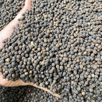 Black Pepper from Lawana and Sons Supplies Black Pepper – product photo, Dehydrated Black Pepper products found from trusted suppliers, wholesalers, manufacturers & exporters Listing