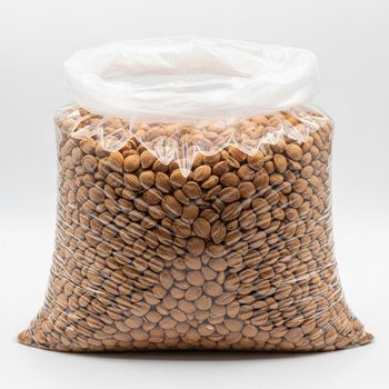Premium Dried Organic Apricot Kernels Natural Crop Mountain Farms With Export Packing Bulk Buyers Worldwide - malter group - Tanzania