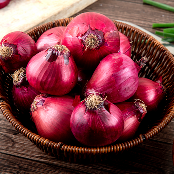 Premium Fresh Red Onions Rich in Flavor for Food Processing and Market Supply Bulk Quantity Available - TRADECENTRIC LLC - United States