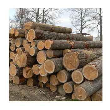 Pine, Hardwood timber, Teak wood / Pine wood logs, oak wood logs for supply at cheap price from Exigentelaxia Unipessoal Lda Pine, Hardwood timber, Teak wood / Pine wood logs, oak wood logs for supply at cheap price - Exigentelaxia Unipessoal Lda - Portugal