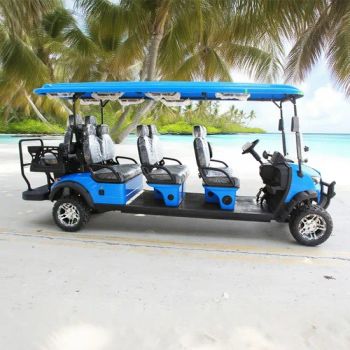 Sightseeing Cart Bus Wl-Gd6+2 Golf Cargo Car Cart for Hospital - Dezhou Speed Automobile Industry Co., Ltd. - China