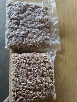 Pecan Nuts Packaging Negotiable Place of Origin South - Louw Farming - Namibia