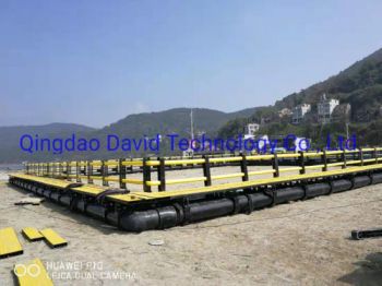 HDPE Leisure Fishing Aquaculture Floating Circular Square Deep Sea Net Cage - Qingdao David Technology Co., Ltd. - China