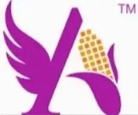 Product -  Angel Starch & Food Pvt Ltd  - India