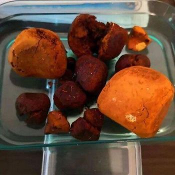 Cheap Gallstones COW Gallbladder Stones For Medicine OX Gallstone Supply High Quality Natural Gallst - VERTEX TRADING LIMITED - United Kingdom