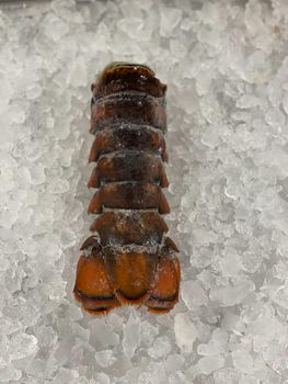 Natural Frozen Lobster Tail Wild Harvest Seafood Premium Quality Rich Taste Perfect For Elegant Family Meals - TRADECENTRIC LLC - United States