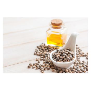 Hot Selling Wholesale Cheap Price 99% Refined Castor oil | Cold Pressed Organic Pure Castor Oil Bulk for Hair in Bulk  -  CALIPSO POLSKA SP Z OO  - Poland