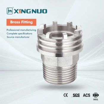 Secure Connection Stainless Brass Steel Pipe Fitting for Sprinkler Systems - TAIZHOU XINGNUO TECHNOLOGY CO., LTD. - China