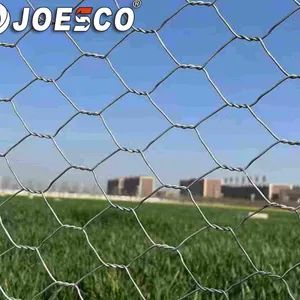 Galvanized Hexagonal Gabion Wire Mesh Durable Box for Erosion Control - Joesco Hebei Metal Products Inc - China