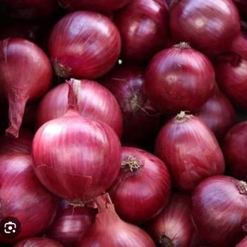 Shallots Flavor Rich Shelf Life Long Quality Consistent Grade Export Quality Place of Origin Myanmar Growth Method Naturally Grown - Rosanna Company Limited  - Myanmar