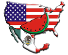 Product - BORDERS MELON SPR DE RL - Global