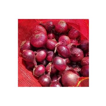 Wholesale Fresh Onions from Egypt crop 2020 with best price - HIGHPROFILE AGRICULTURE SERVICES LIMITED - Tanzania