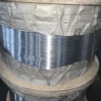 Carbon Steel Wire Electro- Galvanized Steel Wire 0.50mm-0.70mm - Jiangsu Taibo Steel Wire Products Co., Ltd - China