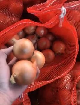 Product - ANQIU BANGTAI FOOD CO.,LTD - Global