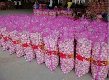 Onion and garlic from Karthik traders Onion and garlic – product photo, Onion products found from trusted suppliers, wholesalers, manufacturers & exporters Listing