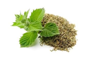 Dehydrated Mint Leaves – Premium Export Quality | Premium Grade - Buddha Overseas - India