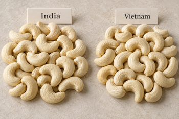 Cashew W240 W320 India /Vietnam from Innopolis Bio Innovations Cashew W240 W320 India /Vietnam - Innopolis Bio Innovations - India