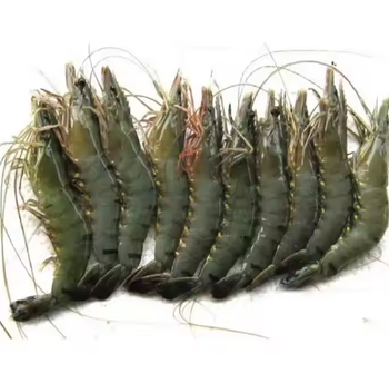 Dried Shrimp Weight (kg) - PT LARISH ALACA FORTUNATELY - Indonesia