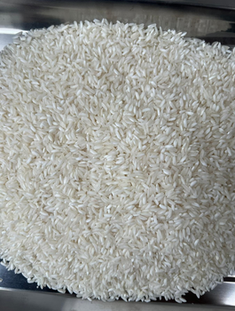 Vietnamese DT8 Short-Grain Rice-High Quality Fresh Soft Aromatic Jasmine Fragrant White 0% Broken Safe for Export - EcoRoma GmbH - Germany