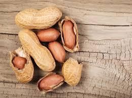 Premium Peanuts – Raw, Blanched, Roasted & Shelled for Export - TRADE NEPAL LLC - United States
