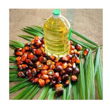 Wholesale Supply Factory price Refined palm oil Daily Food Cooking Palm Fruit Oil cp 10 cp 10 Refined Palm kernel oils - Exigentelaxia Unipessoal Lda - Portugal