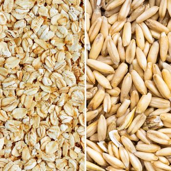 Raw Whole Groat Oats – Hayden Flour Mills Grade AA Type Oat Style Dried Color Yellow Broken Ratio 0 Shelf Life 2 Years Cultivation Type Other -  DAEWKAEW PANTAMANG Co., Ltd - Thailand