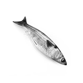 Fresh frozen whole Mullet fish best wholesale price in market - BMU TRADING GMBH - Germany