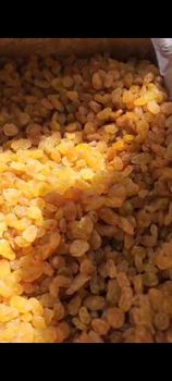 Golden raisins grade A - Caspiora trade - Iran
