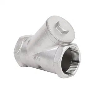 Stainless Steel 2 Inch Female Threads Wcb SS304 Y Filter Brass Y Type Strainer Bronze with Mesh Insert for Water - Wenbao Valve Co., Ltd. - China