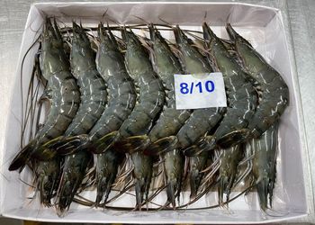 Black Tiger Shrimp / Black Tiger Prawn (HOSO) Shelf Life 24 months Place Of Origin Malaysia Place of Origin Malaysia Packaging Type Ivp Or Iwp - Hup Sun Marine Products - Malaysia