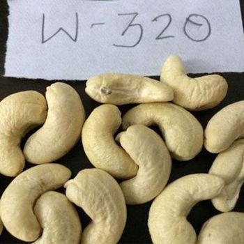 Vietnamse Cashew Nuts W320 W240 and other types Exporter Fresh Cashew Nuts From Vietnam packaged cashew nuts - Vietlinh_Agrimex - Vietnam