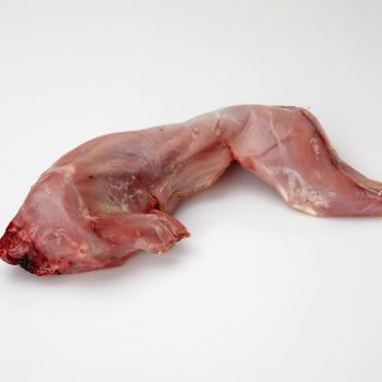 Top Quality Frozen Whole Rabbit Meat / Frozen Rabbit Meat and Parts - Herikon BV - Netherlands