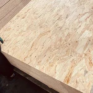 18mm Waterproof Furniture Grade Oriented Strand Board Wooden Panel Melamine OSB Plywood Particle Board Price for Packaging and Construction - Tianjin Senjia Import and Export Trading Co., Ltd. - China