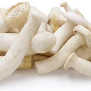 Mushrooms – Export Quality from India - AGROCARTE EXIM ENTERPRISES PVT LTD - India