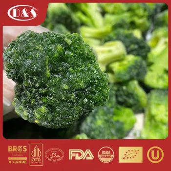IQF Frozen Broccoli Florets Broccolini Cut with Good Price GMO Free Crop 2023 Balanced No Kind Frozen Color Green Origin - QINGDAO DEESHENGHENGXIN FOOD CO., LTD. - China