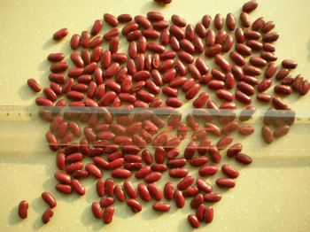 RED KIDNEY BEANS - sjz Darling trading  - China