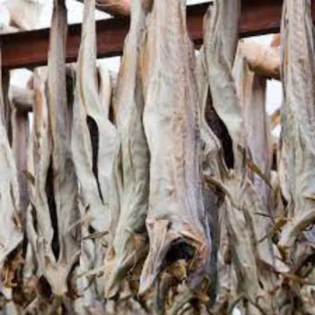 Good Quality Dry Stock Fish From Norway / Dry Stock Fish Head / Dried Salted Cod Wholesale - Smart Agri GmbH - Germany