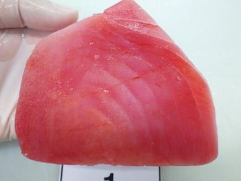 Yellowfin Tuna Texture Cube And Ground Source Species Yellowfin Tuna Included By-products Trimmed Meat, Belly, - Nghi Son Foods Group - Vietnam
