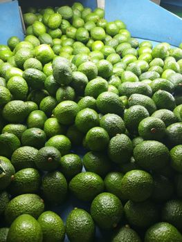 Hass Avocado – product photo, Hass Avocados products found from trusted suppliers, wholesalers, manufacturers & exporters Listing