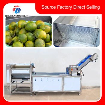 Orange Apple Peach Cleaning Machine Bubble Washing Machine Food Processing Machine - Zhaoqing Tengsheng Machinery Co., Ltd. - China