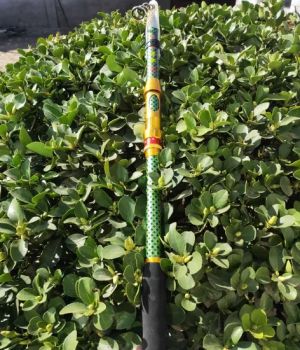 Ultimate PRO Angler Fishing Rod Set: 1.65m-2.4m, Cloth Bag, Carton - Shandong Zhoutai Outdoor Products Co., Ltd. - China