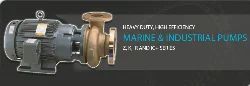 Marine Sanitary Pumps - SS Tech India - India