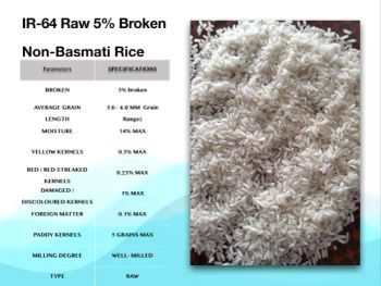 IR64 RAW 5% BROKEN WHITE RICE - S A Traders - India