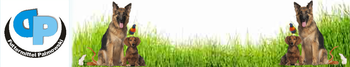 Product – product photo, Organic Wheat products found from trusted suppliers, wholesalers, manufacturers & exporters Listing