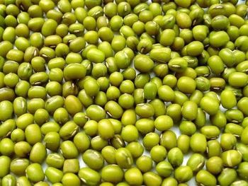 Green Mung - Getas - Ethiopia
