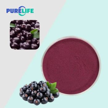 Natural Juice Powder Cosmetic Additive Food Additive Freeze-Dried Blackcurrant Powder - Purelife Biotech Co., Ltd. - China