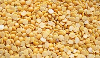 Toor Dal (Split Pigeon Peas) – Premium Quality from AGROCARTE EXIM ENTERPRISES PVT LTD Toor Dal (Split Pigeon Peas) – Premium Quality - AGROCARTE EXIM ENTERPRISES PVT LTD - India