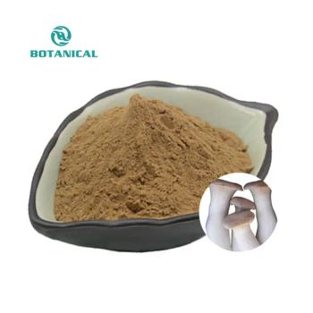 High Quality Horn Mushroom King Trumpet Mushroom Powder King Oyster Mushroom Extract - Botanical Cube Inc. - China