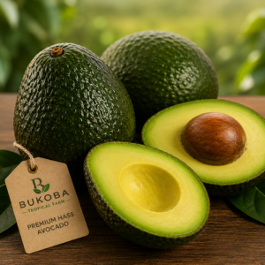 Premium Hass Avocado from BUKOBA TROPICAL FARM Premium Hass Avocado - BUKOBA TROPICAL FARM - Tanzania